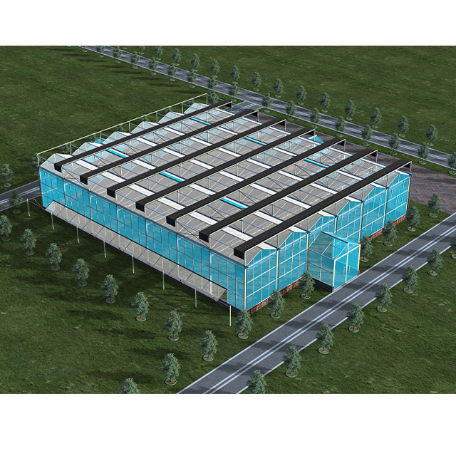 Large Agricultural Greenhouses with Sunshade Net for Growing Vegetables or Fruits Durable Glass Greenhouses