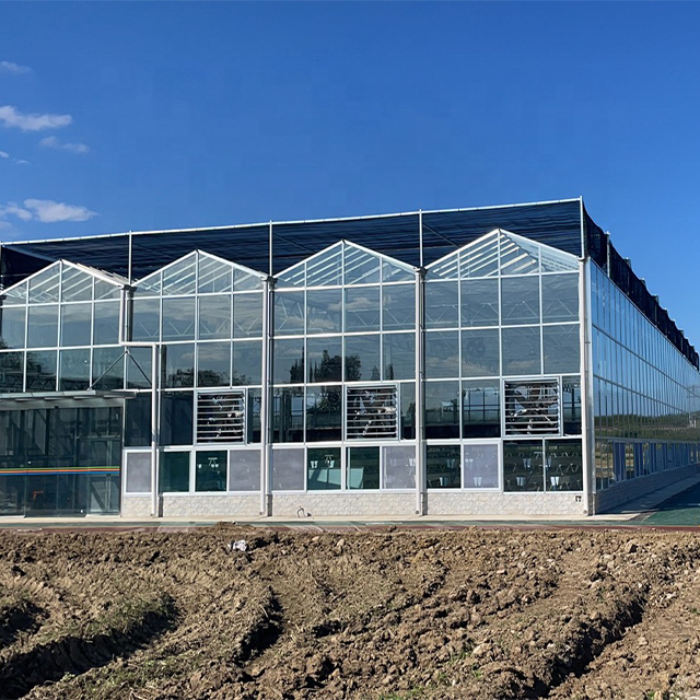 Large Agricultural Greenhouses with Sunshade Net for Growing Vegetables or Fruits Durable Glass Greenhouses