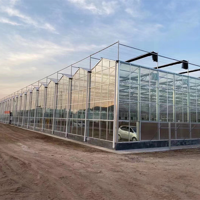Large Agricultural Greenhouses with Sunshade Net for Growing Vegetables or Fruits Durable Glass Greenhouses