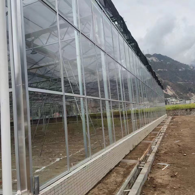 Large Agricultural Greenhouses with Sunshade Net for Growing Vegetables or Fruits Durable Glass Greenhouses