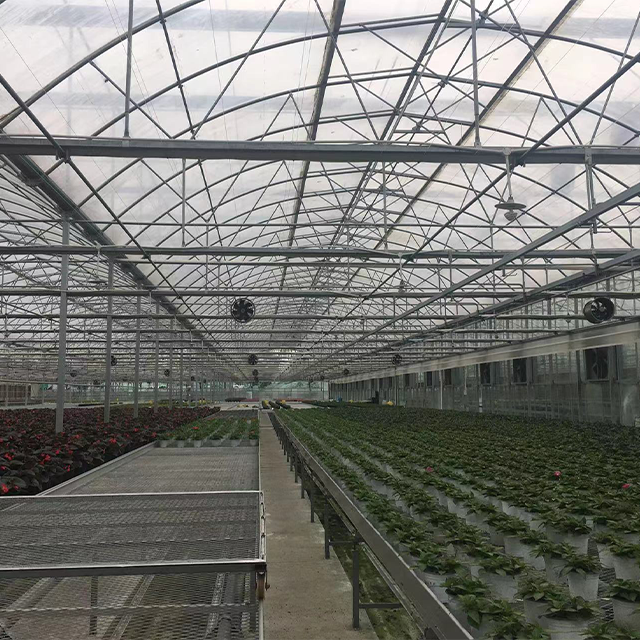 Large Agricultural Greenhouses with Sunshade Net for Growing Vegetables or Fruits Durable Glass Greenhouses