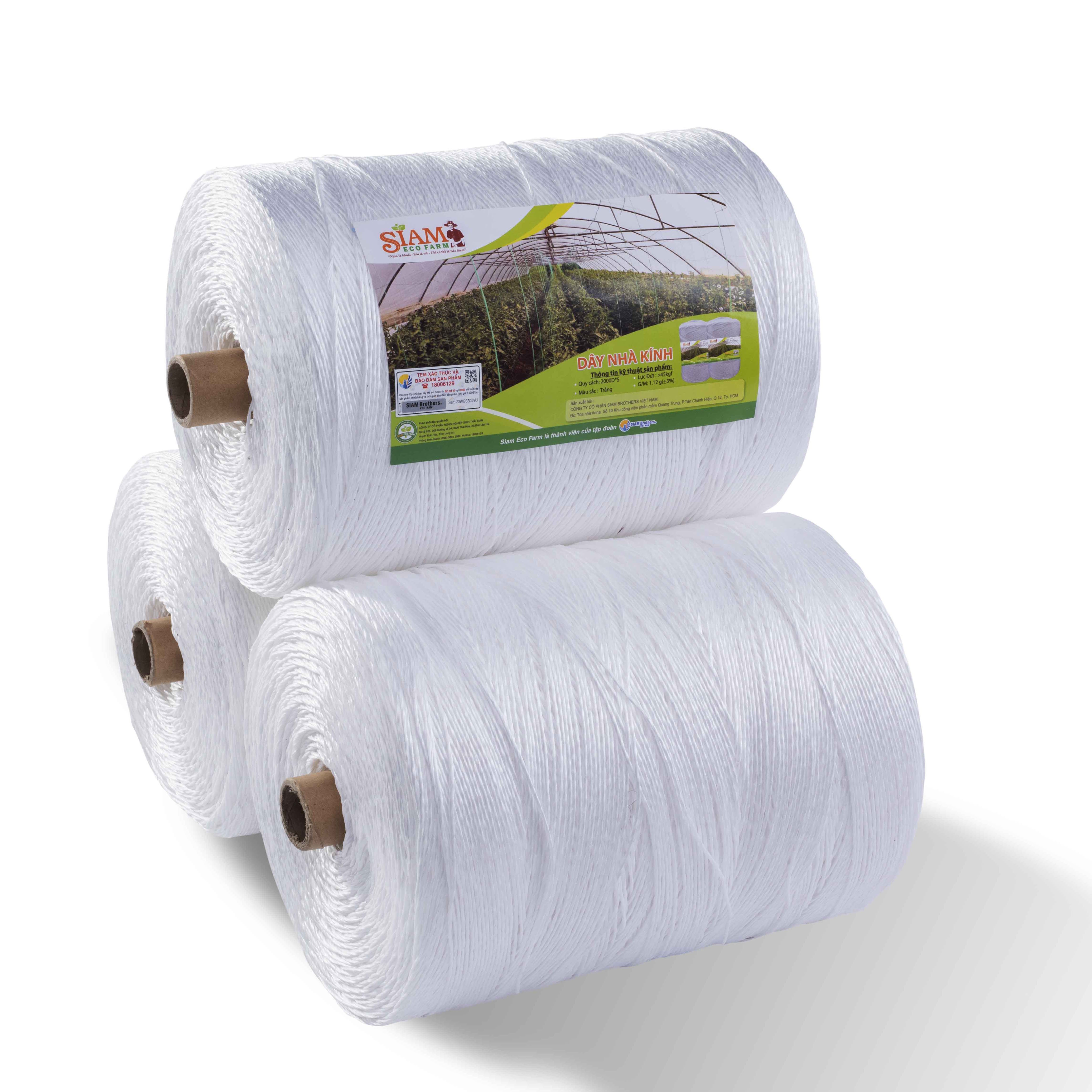 Factory Siam Brother 1mm 2mm Large Size Agriculture Greenhouse Tomato Banana Tying String Thread PP Baler Twine Cheap Price