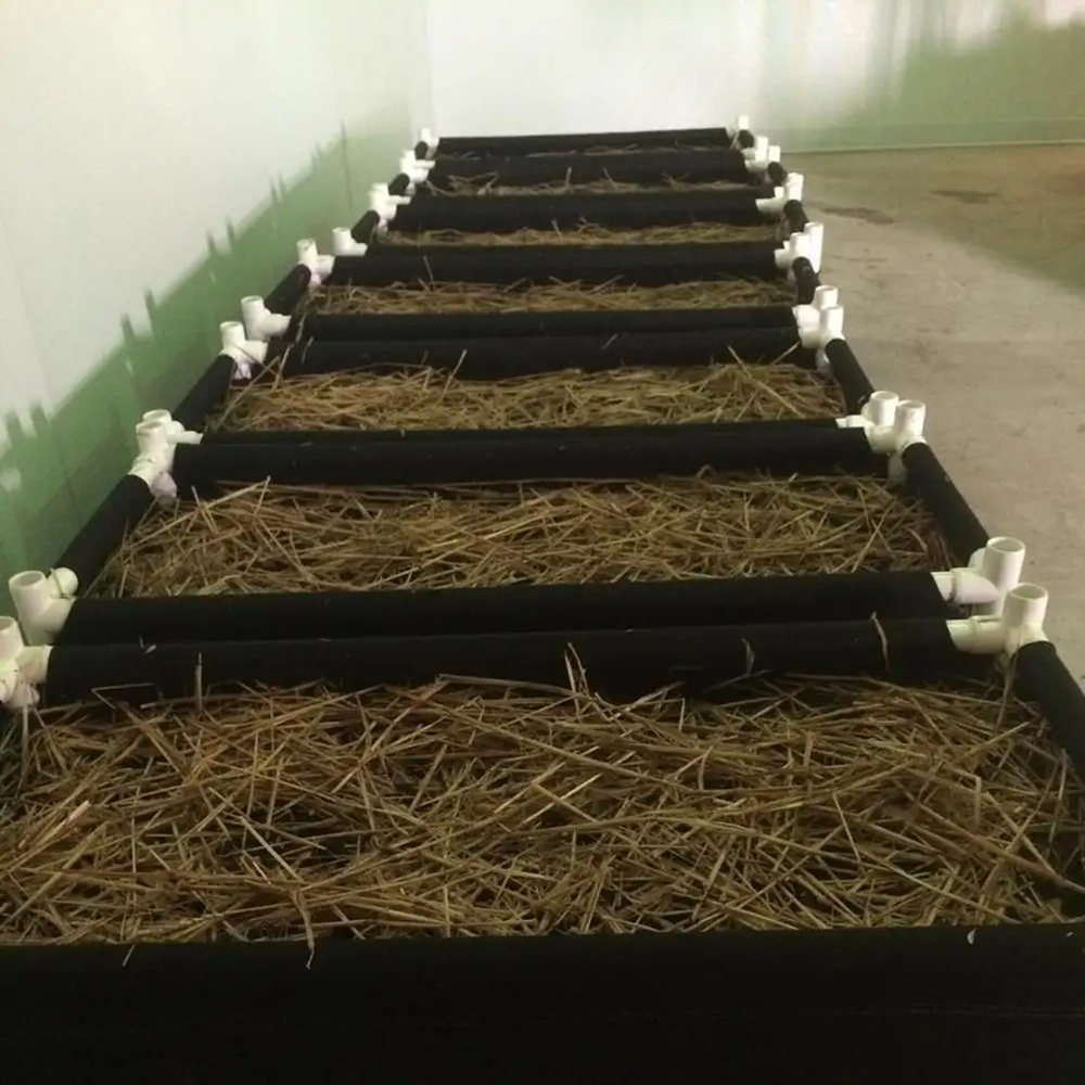 4ft X 4ft X 1.5ft Fabric Felt Greenhouse Grow Beds With PVC Trellis Greenhouse Product Type Grow Bags