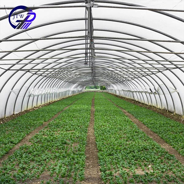 High Quality Prefab Tropical Greenhouse Sale Online Agricultural Greenhouse Tent