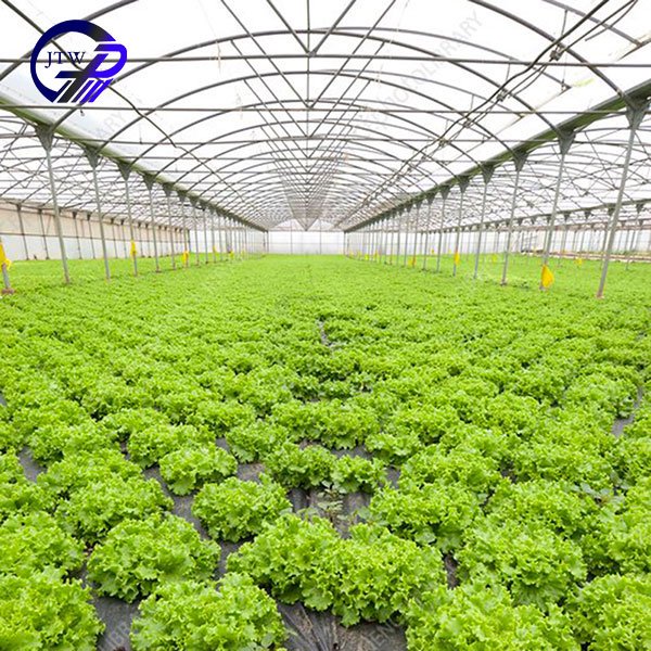 High Quality Prefab Tropical Greenhouse Sale Online Agricultural Greenhouse Tent