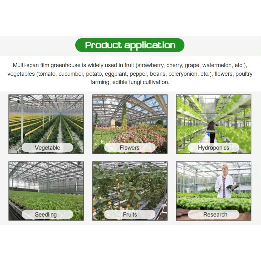 Customizable Size Multi-Span Agricultural Farming Tomato Greenhouses for Fruits Vegetable Cultivation