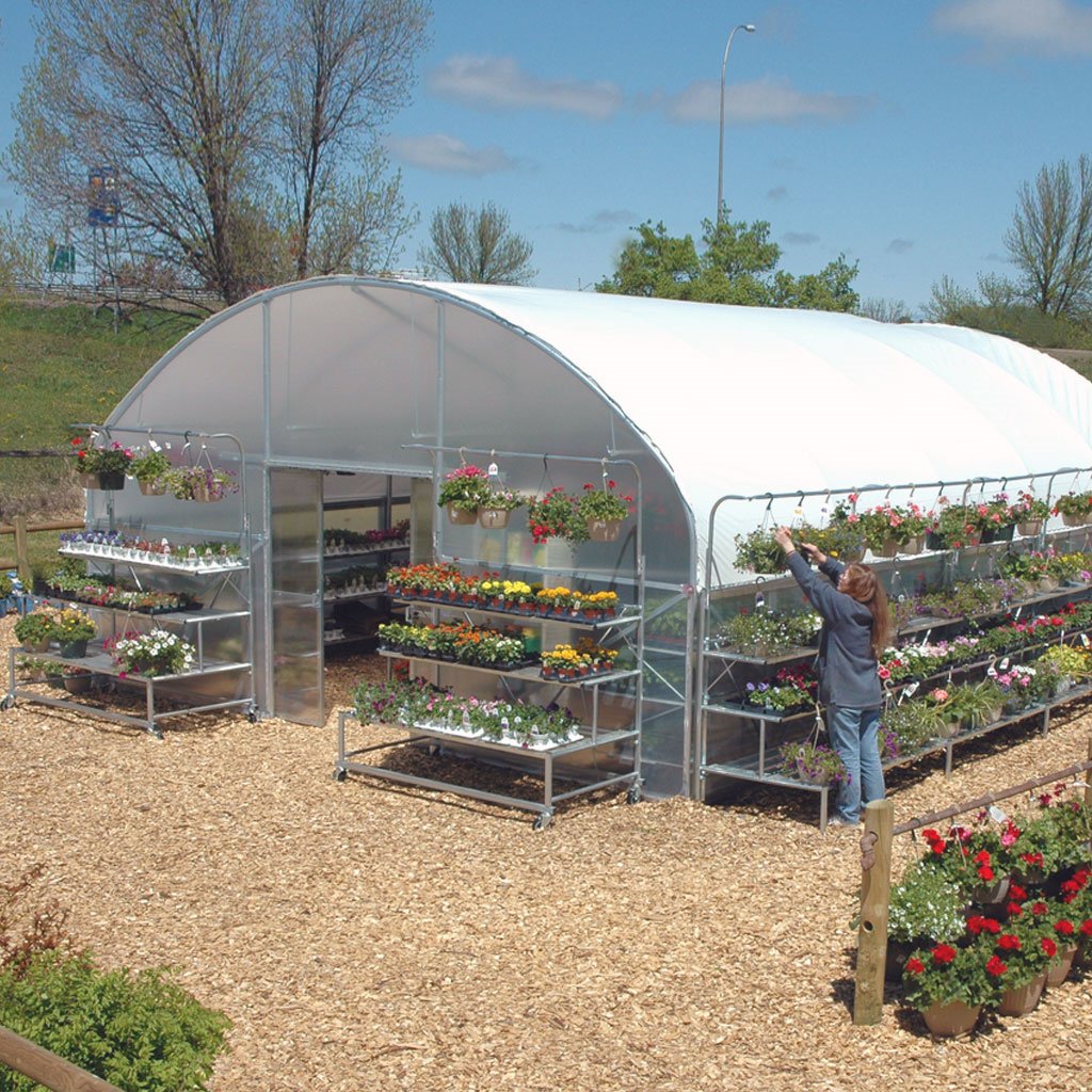 single tunnel tomato fruit flower green house 8x30 meter low tunnel serre agricole m greenhouse for sale