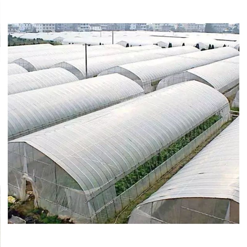 High Strength Commercial Agricultural Poly Tunnel Single-span Green House Plastic Film Greenhouse For Sale