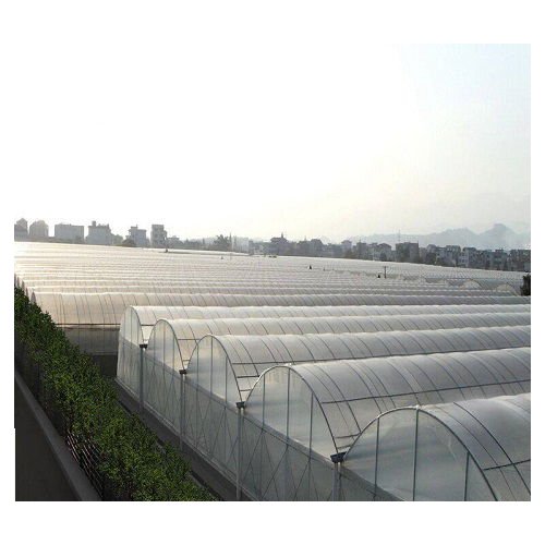 High Strength Commercial Agricultural Poly Tunnel Single-span Green House Plastic Film Greenhouse For Sale