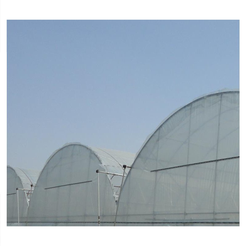 High Strength Commercial Agricultural Poly Tunnel Single-span Green House Plastic Film Greenhouse For Sale