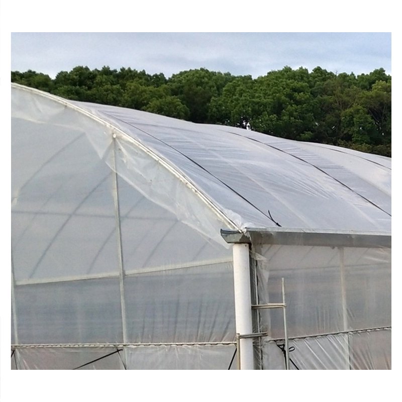 High Strength Commercial Agricultural Poly Tunnel Single-span Green House Plastic Film Greenhouse For Sale