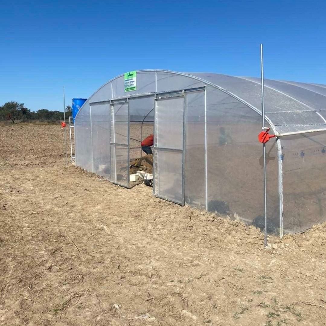 low cost outdoor poly tunnel tomato commercial tunnel structure agricultural plant farm hydroponic hobby greenhouse frame supply