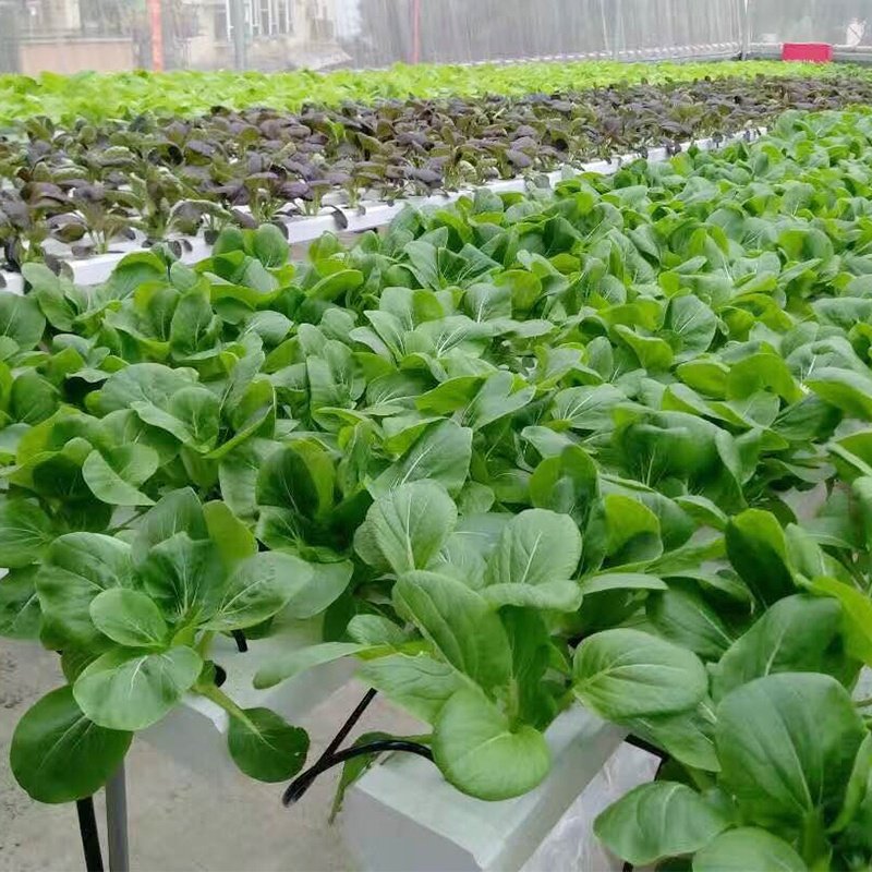 Indoor Vegetable Cultivation Agricultural Greenhouses Vertical Farm Aeroponics System Hydroponic Grow Tower Garden Spiral Plant