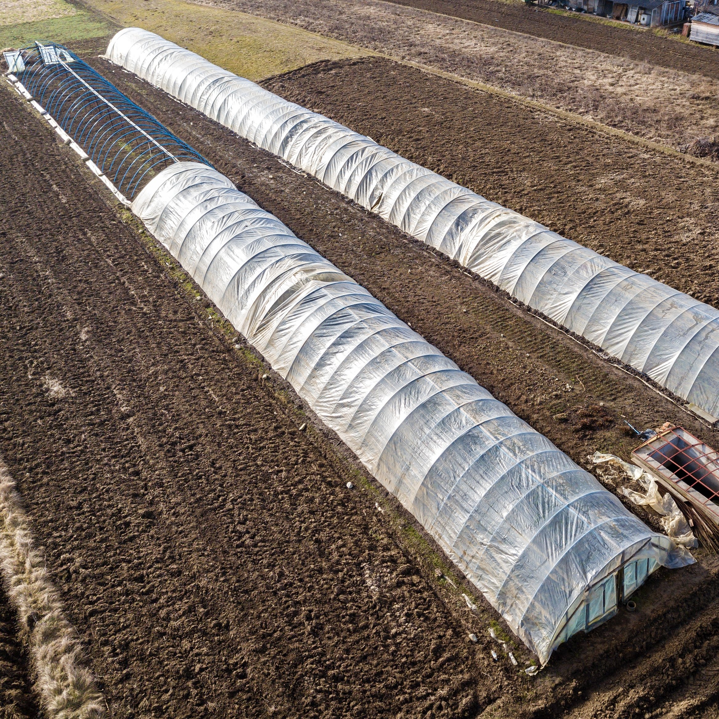 Outdoor Hot Galvanized Steel Frame Commercial Planting Vegetables Fruits Pe Plastic Film Agricultural Greenhouses
