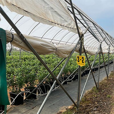 Hot Dipped Galvanized Steel Pipe for Greenhouse Frame Farming