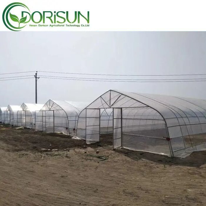Hot sale single span agricultural commercial greenhouse in America