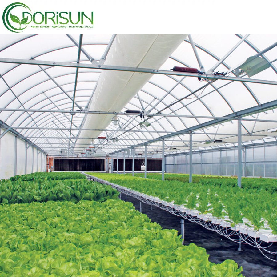 Hot sale single span agricultural commercial greenhouse in America