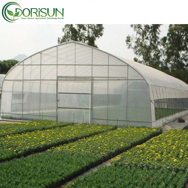Hot sale single span agricultural commercial greenhouse in America