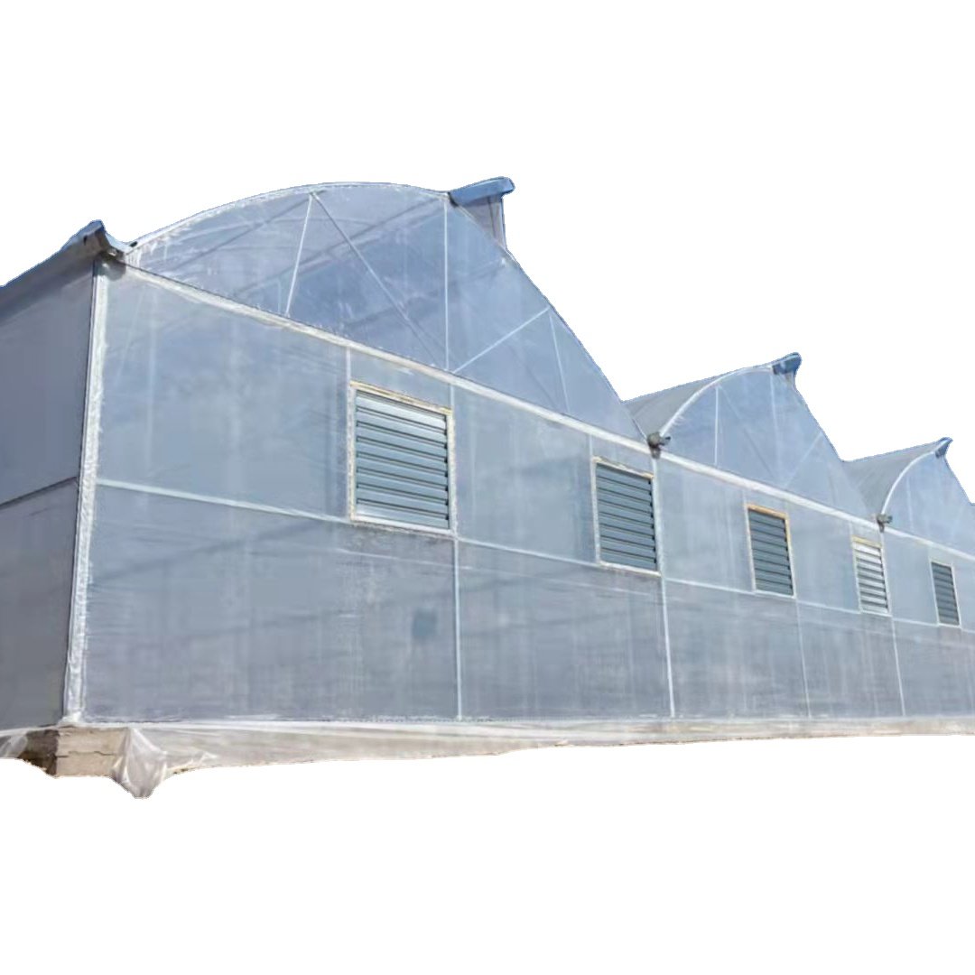Commercial Used Tunnel Type Plastic Film Multi Span Greenhouse with Hydroponics System for Strawberry and Tomato