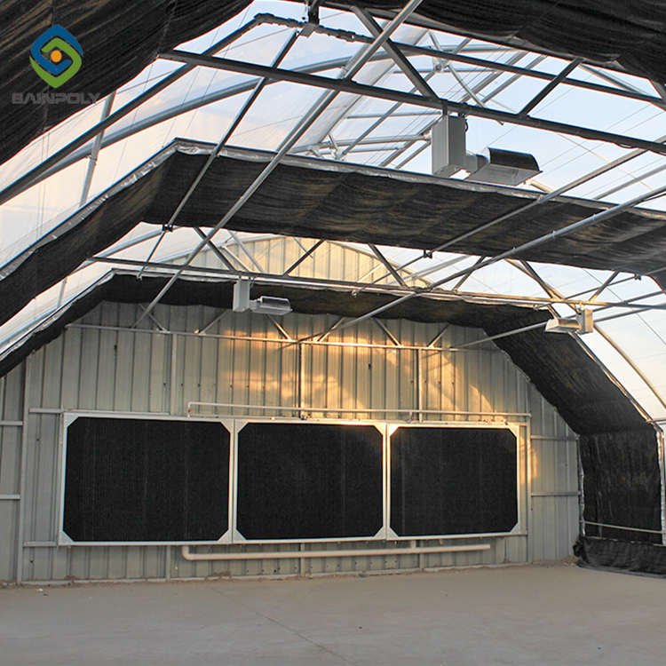 Sainpoly invernadero commercial light greenhouses hydroponic system veget greenhouse hous structure price