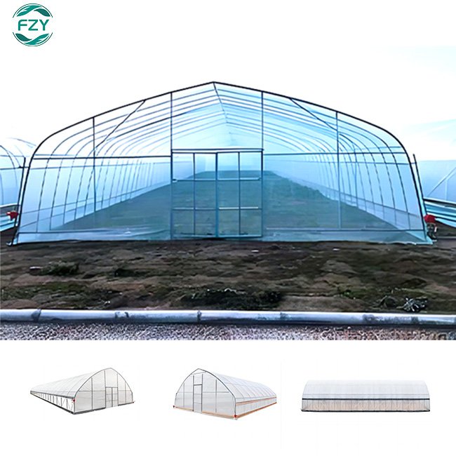 large tunnel strawberry industrial mushroom farm grow vegetable prefab single-span agricultural greenhouse frame for sale