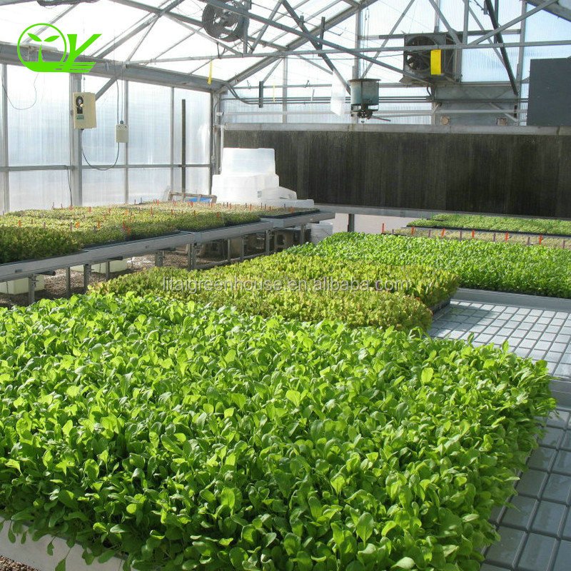 plastic film multi-span greenhouse grow tent for sale