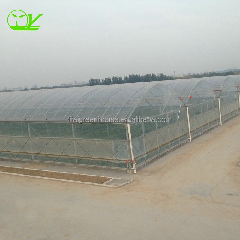 plastic film multi-span greenhouse grow tent for sale