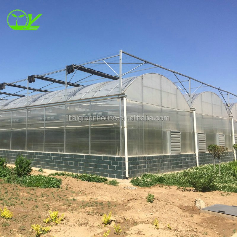 plastic film multi-span greenhouse grow tent for sale