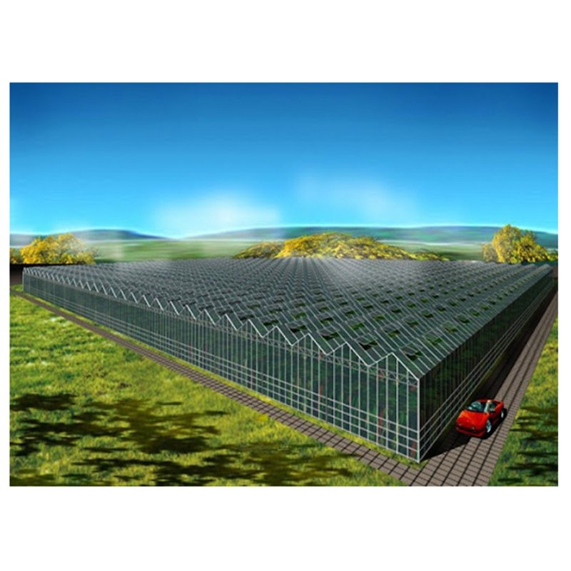 Smart Agricultural Multi-Span Venlo Glass Greenhouse Solar Photovoltaic Greenhouse vegetable fruit planting glass greenhouse