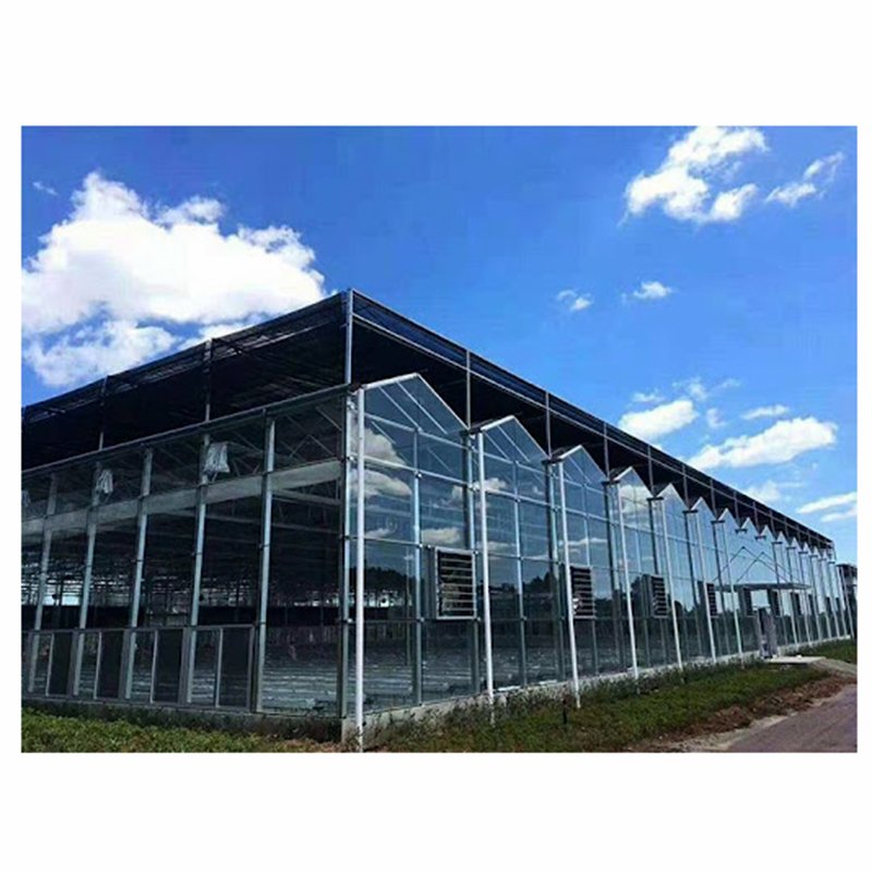 Smart Agricultural Multi-Span Venlo Glass Greenhouse Solar Photovoltaic Greenhouse vegetable fruit planting glass greenhouse