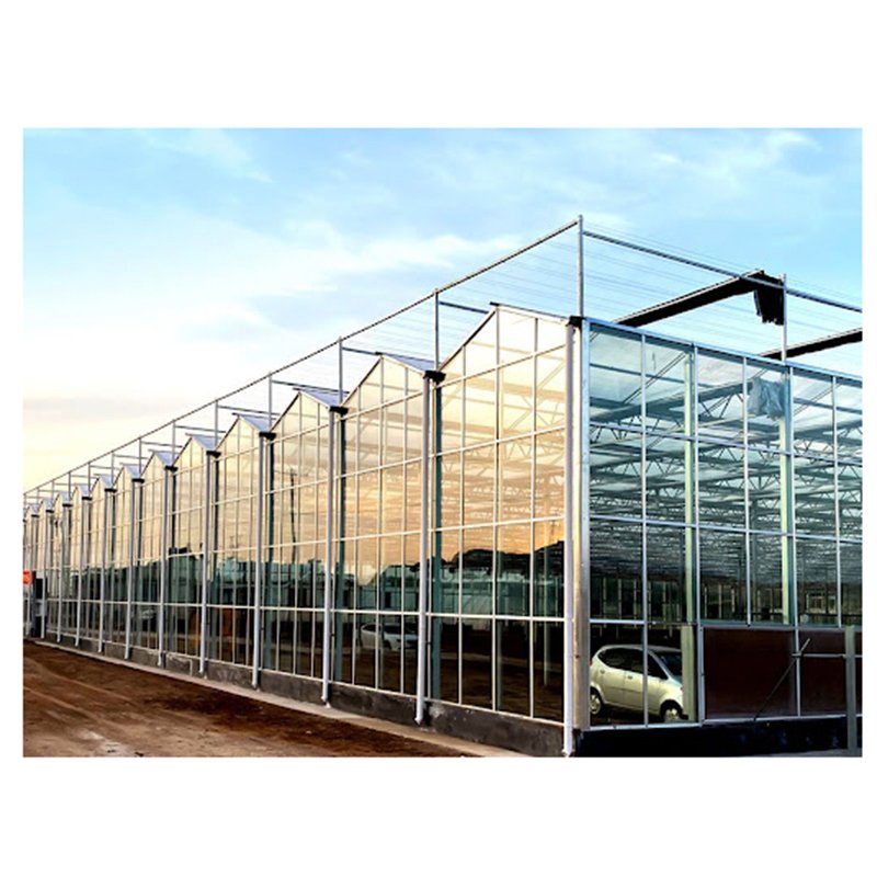 Smart Agricultural Multi-Span Venlo Glass Greenhouse Solar Photovoltaic Greenhouse vegetable fruit planting glass greenhouse