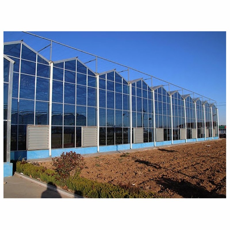 Smart Agricultural Multi-Span Venlo Glass Greenhouse Solar Photovoltaic Greenhouse vegetable fruit planting glass greenhouse