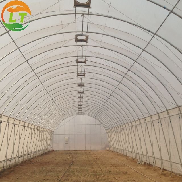 Low price high quality single-span agricultural greenhouses for agricultural plants growing