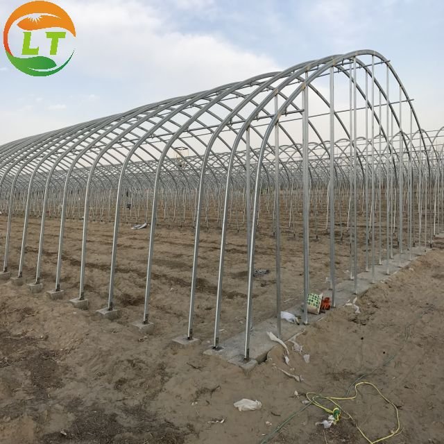 Low price high quality single-span agricultural greenhouses for agricultural plants growing