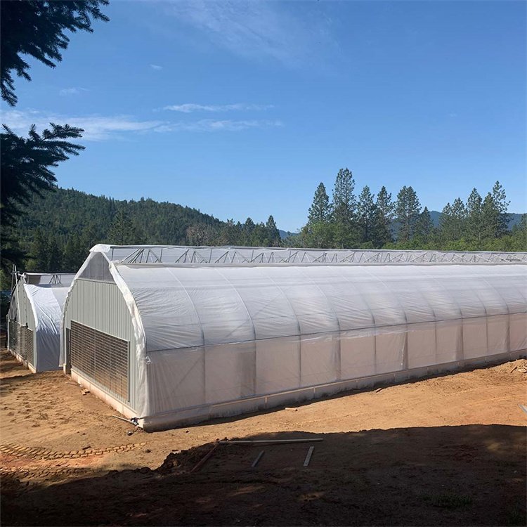 Baolida America high tunnel agricultural medical hemp planting agricultural blackout greenhouse light deprivation greenhouse