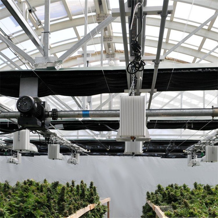 Baolida America high tunnel agricultural medical hemp planting agricultural blackout greenhouse light deprivation greenhouse