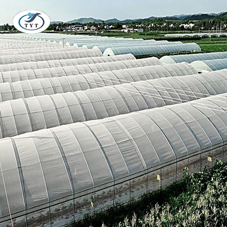 Agricultural Multi Span/Single Span Polycarbonate film greenhouse Complete Set Greenhouse of design Tianjin