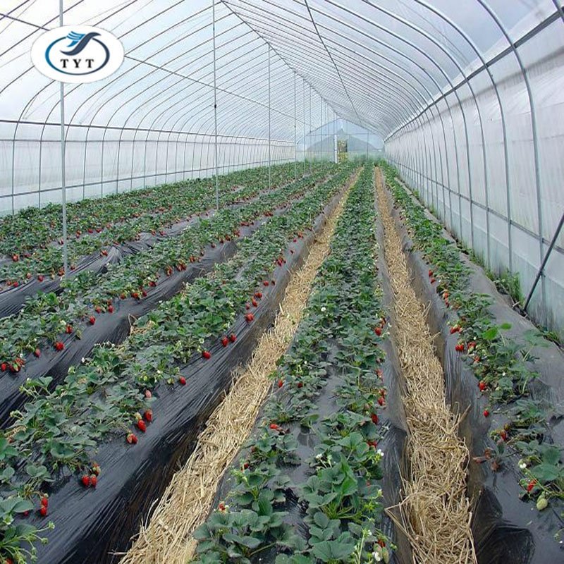 Agricultural Multi Span/Single Span Polycarbonate film greenhouse Complete Set Greenhouse of design Tianjin