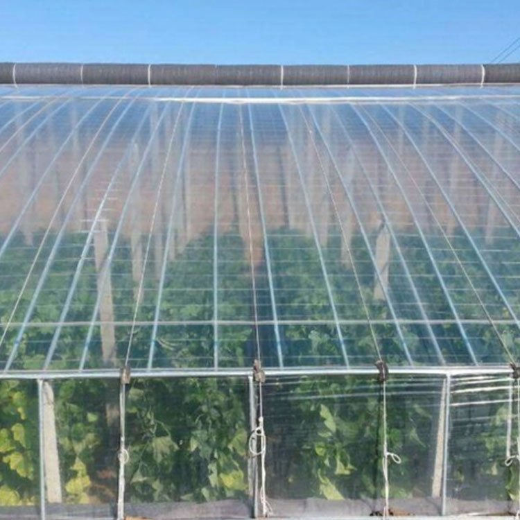 Wholesale Best Selling PE Po Film for Greenhouse Plastic UV Resistant Greenhouse Film