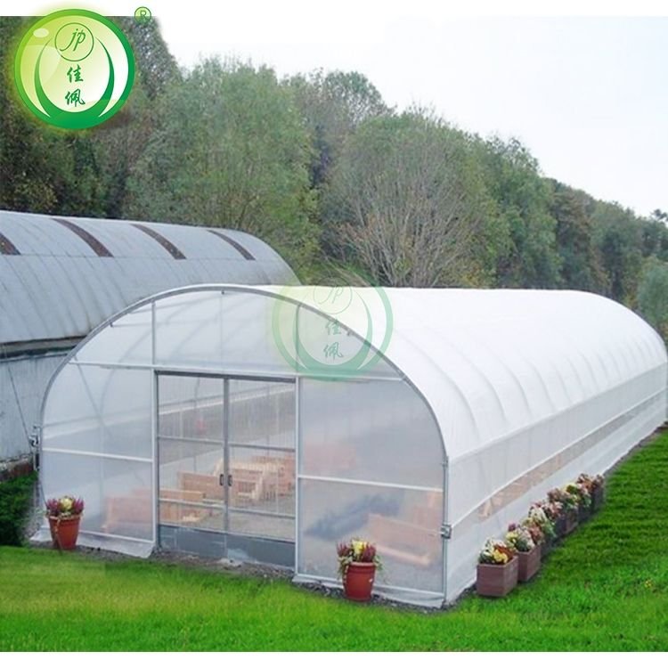 CHOYUEH Low cost Polytunnel film greenhouse for growing strawberry and Economic Tunnel Plastic flim Greenhouse for Vegetable