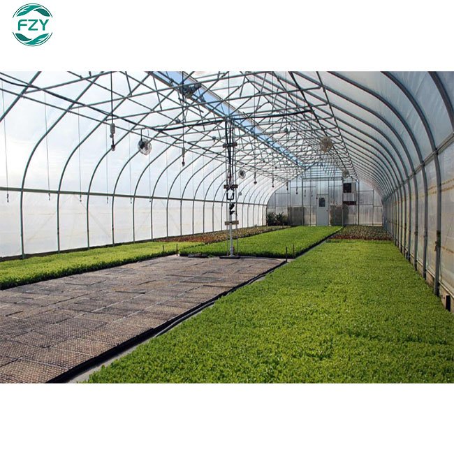 commercial price of m2 agricultural greenhouse arches poly professional tunnel green house/tomato greenhouse for sale