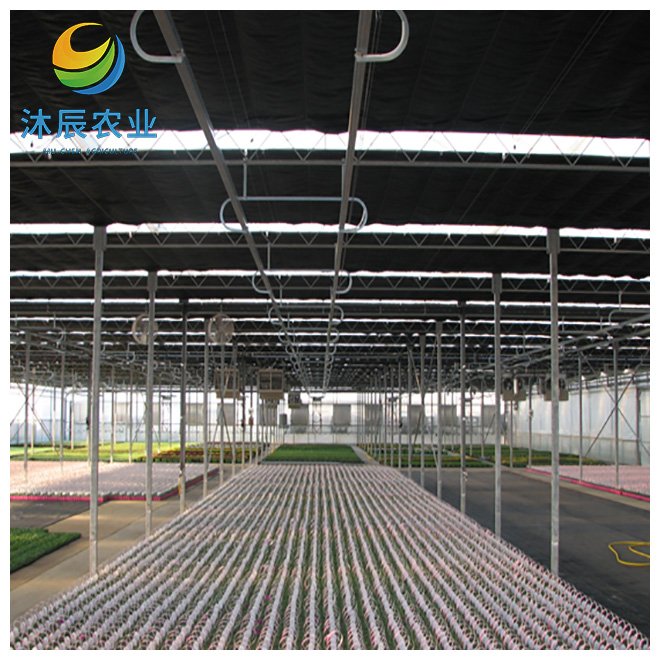 Industrial Hemp Greenhouse Pipe Agriculture Single Span Multi Span Film Greenhouse