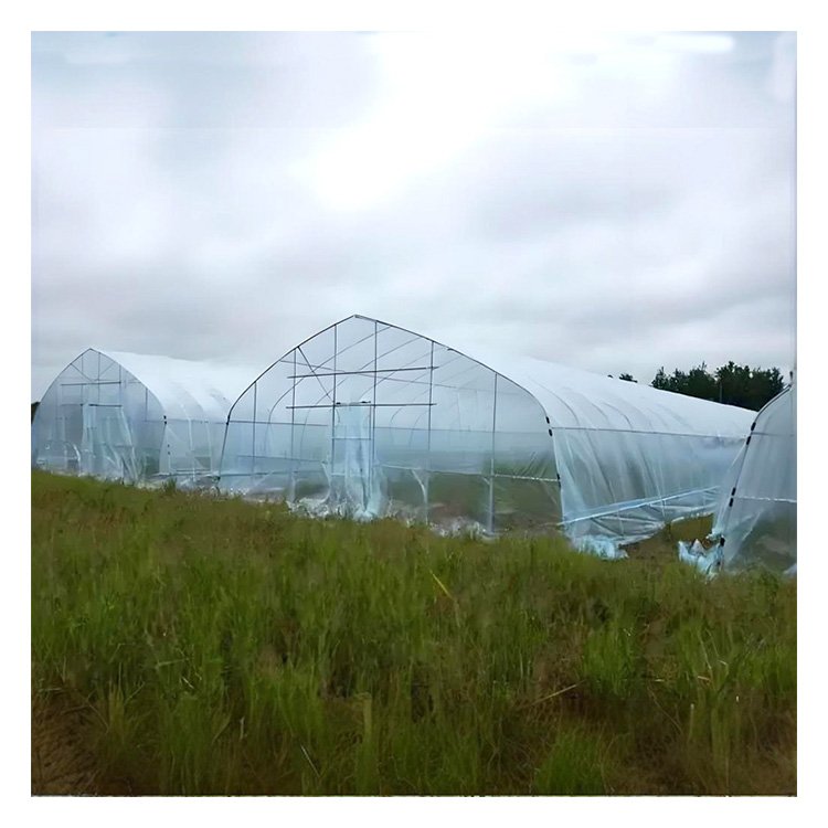 UV Resistance Cheap Transparent Multi Span High Tunnel Film Cover Agriculture Plastic Film for Greenhouse