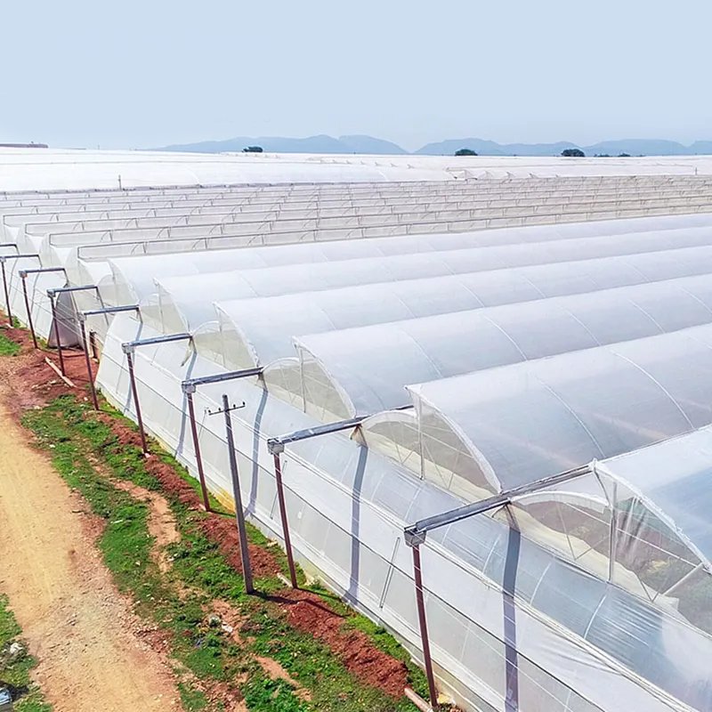 Cheap price agricultural greenhouse cover green house plastic for greenhouse