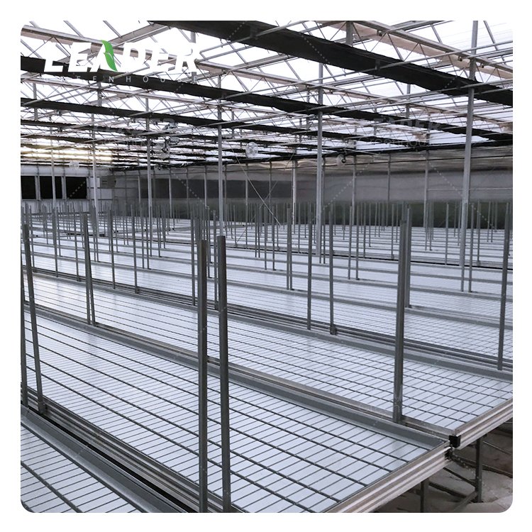 Low Cost Customized 4X8ft Ebb And Flow Growing System Movable Rolling Nursery Bench For Thailand Market Hemp Grow Rolling Bench