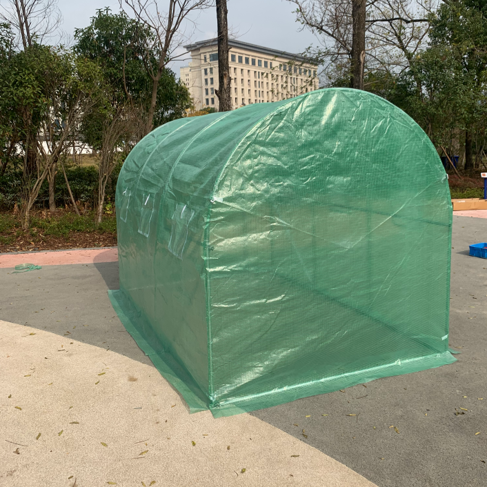 Cheap Vegetable Garden Flower Greenhouse 6x3x2m With 1 Doors