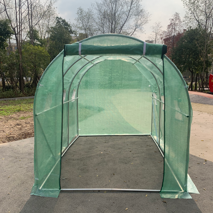 Cheap Vegetable Garden Flower Greenhouse 6x3x2m With 1 Doors