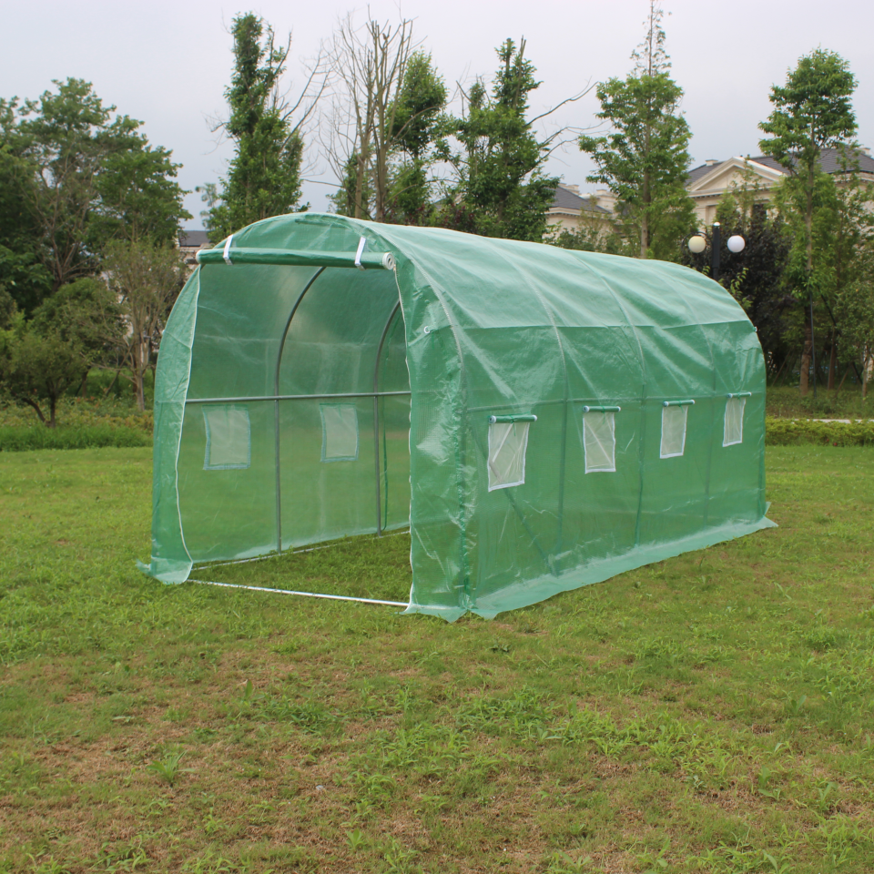 Cheap Vegetable Garden Flower Greenhouse 6x3x2m With 1 Doors