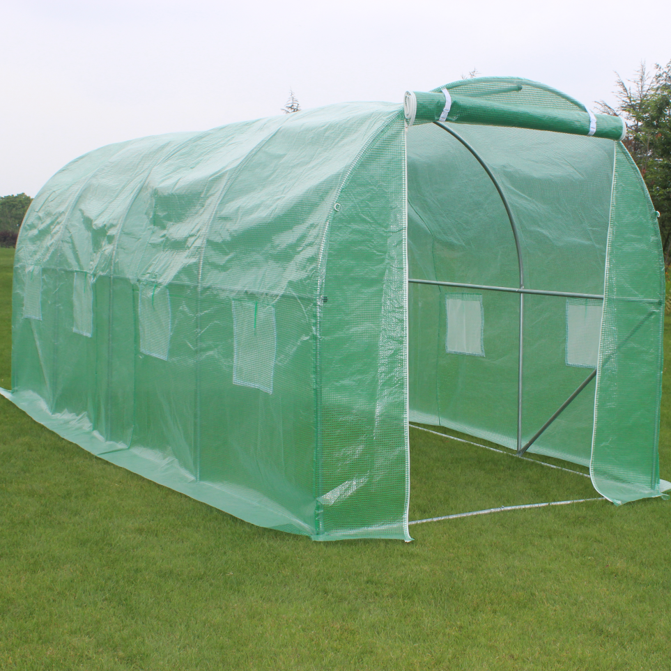 Cheap Vegetable Garden Flower Greenhouse 6x3x2m With 1 Doors