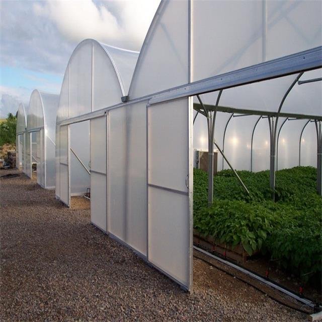 Long Time UV Resistant Multi Span Agricultural Greenhouses